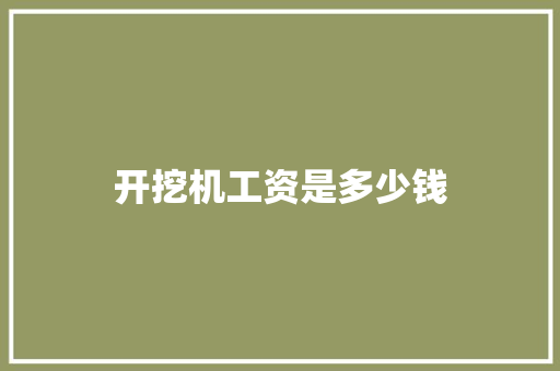 开挖机工资是多少钱 诗词应用