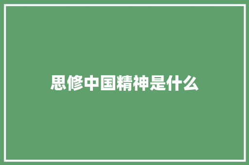 思修中国精神是什么