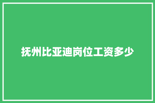 抚州比亚迪岗位工资多少