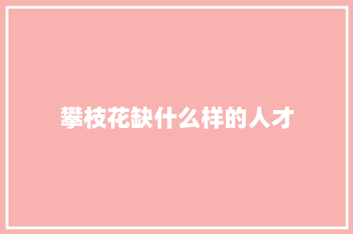 攀枝花缺什么样的人才