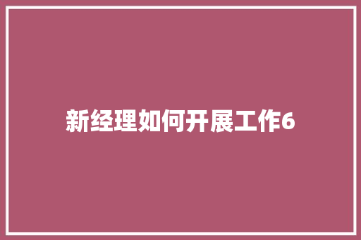 新经理如何开展工作6