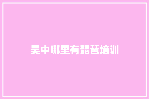 吴中哪里有琵琶培训