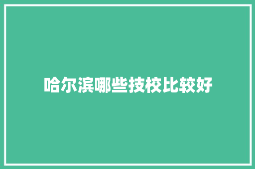 哈尔滨哪些技校比较好