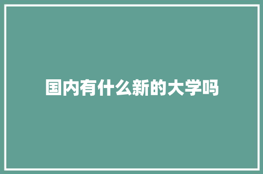 国内有什么新的大学吗