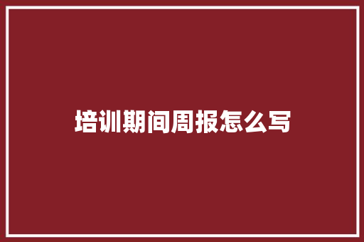 培训期间周报怎么写