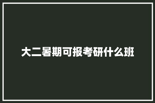 大二暑期可报考研什么班