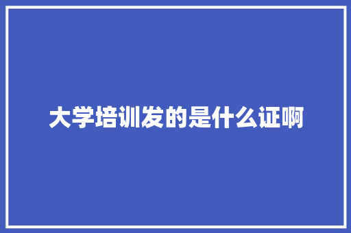 大学培训发的是什么证啊
