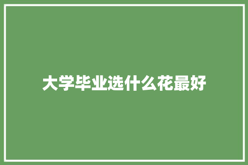大学毕业选什么花最好