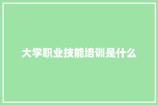 大学职业技能培训是什么