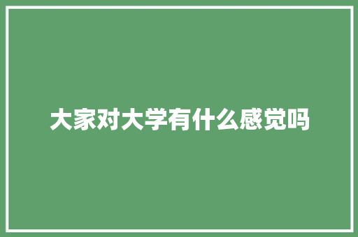 大家对大学有什么感觉吗