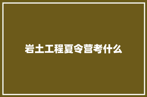 岩土工程夏令营考什么