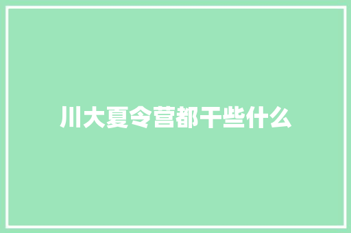 川大夏令营都干些什么