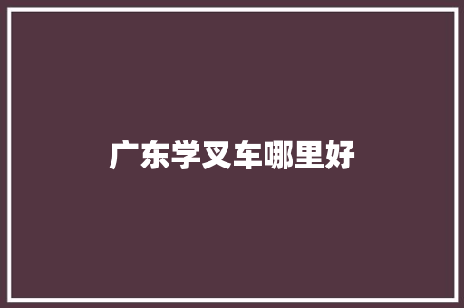广东学叉车哪里好 社交媒体