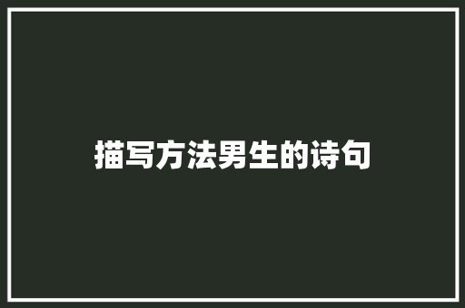 描写方法男生的诗句 工作总结