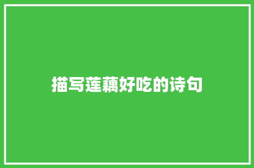 描写莲藕好吃的诗句