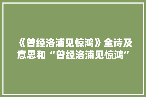 《曾经洛浦见惊鸿》全诗及意思和“曾经洛浦见惊鸿”的拼音注释