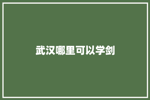 武汉哪里可以学剑 会议纪要