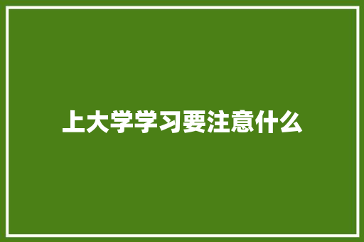 上大学学习要注意什么