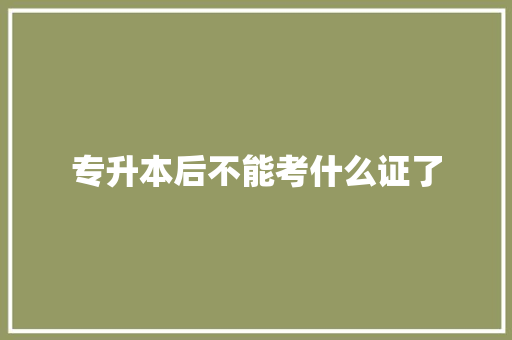 专升本后不能考什么证了 会议纪要