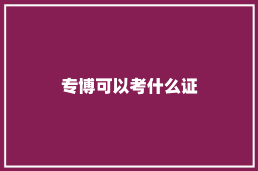 专博可以考什么证