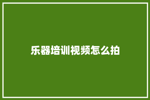 乐器培训视频怎么拍