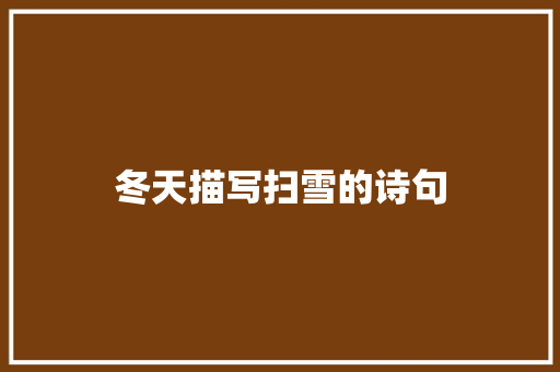 冬天描写扫雪的诗句 工作总结