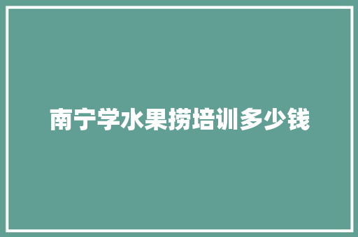 南宁学水果捞培训多少钱