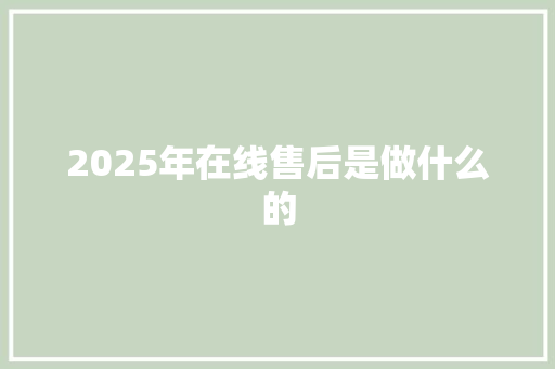 2025年在线售后是做什么的