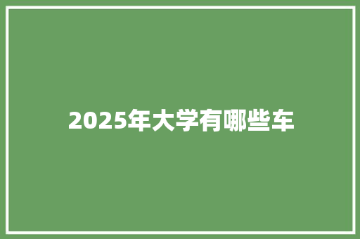 2025年大学有哪些车 工作总结