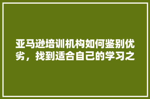亚马逊培训机构如何鉴别优劣，找到适合自己的学习之路 工作总结