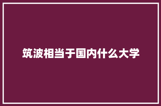 筑波相当于国内什么大学