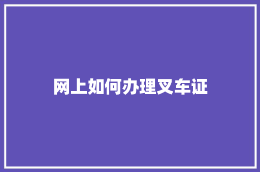 网上如何办理叉车证 项目报告