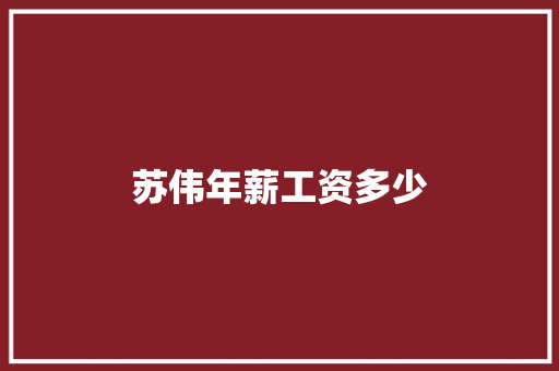 苏伟年薪工资多少 职场写作