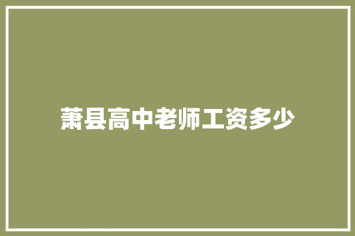 萧县高中老师工资多少