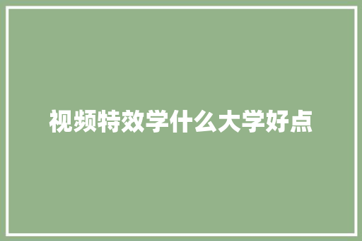 视频特效学什么大学好点
