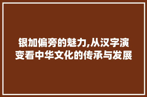 银加偏旁的魅力,从汉字演变看中华文化的传承与发展_银加偏旁的字组词