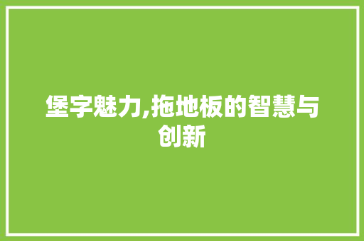 堡字魅力,拖地板的智慧与创新