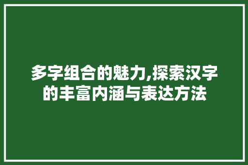多字组合的魅力,探索汉字的丰富内涵与表达方法