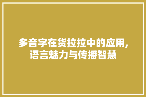 多音字在货拉拉中的应用,语言魅力与传播智慧