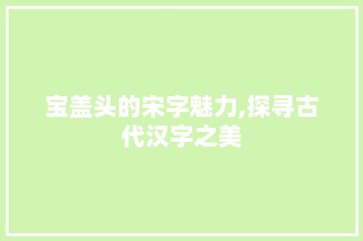 宝盖头的宋字魅力,探寻古代汉字之美
