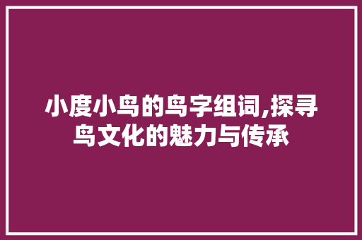 小度小鸟的鸟字组词,探寻鸟文化的魅力与传承