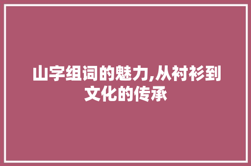 山字组词的魅力,从衬衫到文化的传承 社交媒体