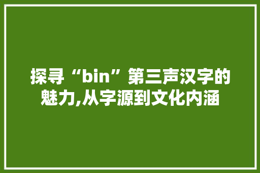 探寻“bin”第三声汉字的魅力,从字源到文化内涵