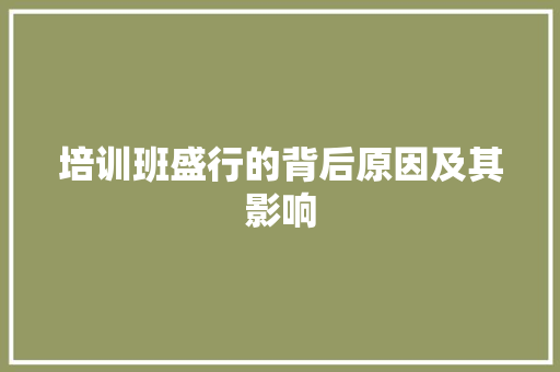 培训班盛行的背后原因及其影响