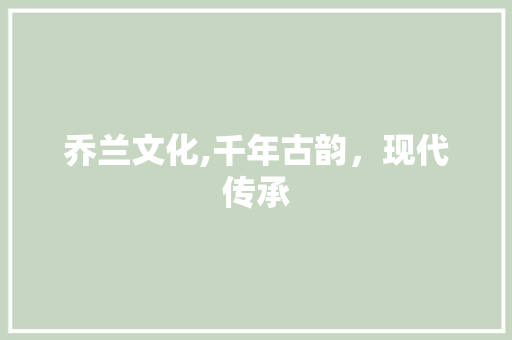 乔兰文化,千年古韵，现代传承 工作总结