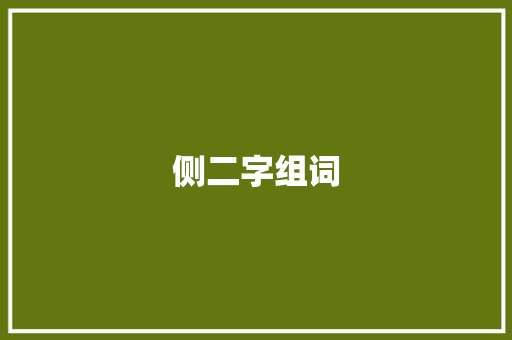 侧二字组词