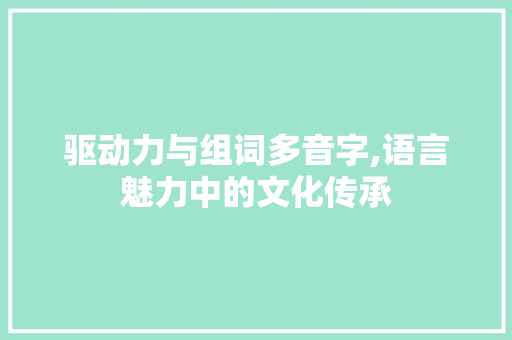 驱动力与组词多音字,语言魅力中的文化传承