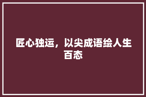 匠心独运，以尖成语绘人生百态