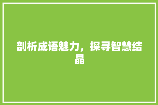 剖析成语魅力，探寻智慧结晶 项目报告