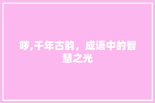 哕,千年古韵，成语中的智慧之光